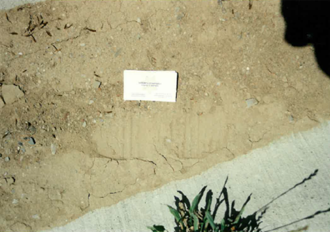 evidence photo of footprints