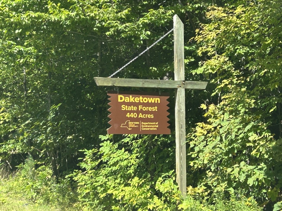 A sign for Daketown State Forest.