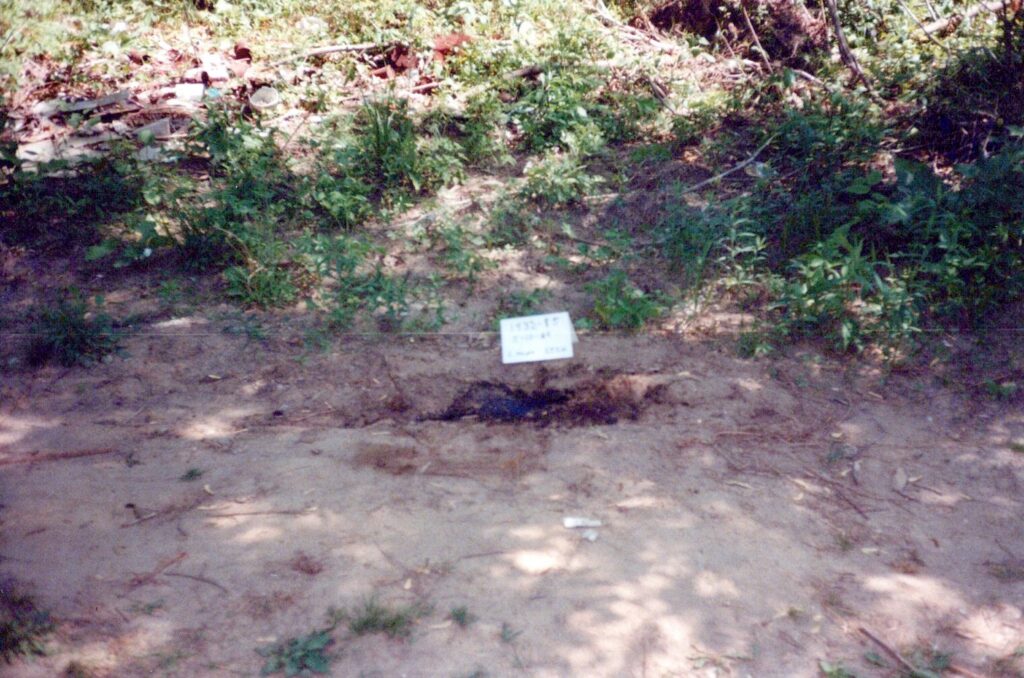 A crime scene photo of Linda’s burial site.