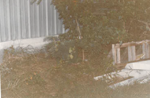 Original crime scene photos from the area where Sharon Jones’ body was found back in 1987.