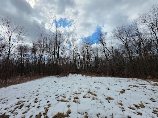 A photo of the location where Bob’s car was found present day – there is no longer a radio tower.