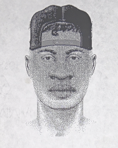 A composite sketch of Suspect 1.