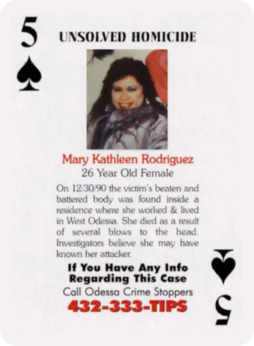 TD_MaryRodriguezCard-round Ilene Misheloff is featured as the Ace of Hearts. Source: Dublin PD